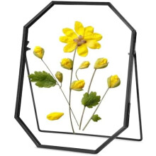 Glass Pressed Flower Frame Octagon Black 6x8 inches