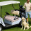 Golfkarstoelhoes van microvezel, 51" x 31" 8