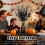 Halloweenská eukalyptová stonka černá 15 palců 26 ks 5