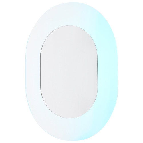 Oval Acrylic Wall Mirror 30x22.5cm