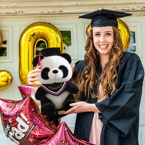 Sciarpa del Dottore, Panda, Giocattolo per la Laurea 1