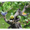 Vogelstatue, Feengarten-Ornament, Gartendekoration 7