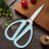 Stainless Steel Scissors Pointed Small 1 Pair 4