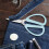 Stainless Steel Scissors Pointed Small 1 Pair 3