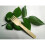 Wooden Forks and Spoons Set 200 pcs 4