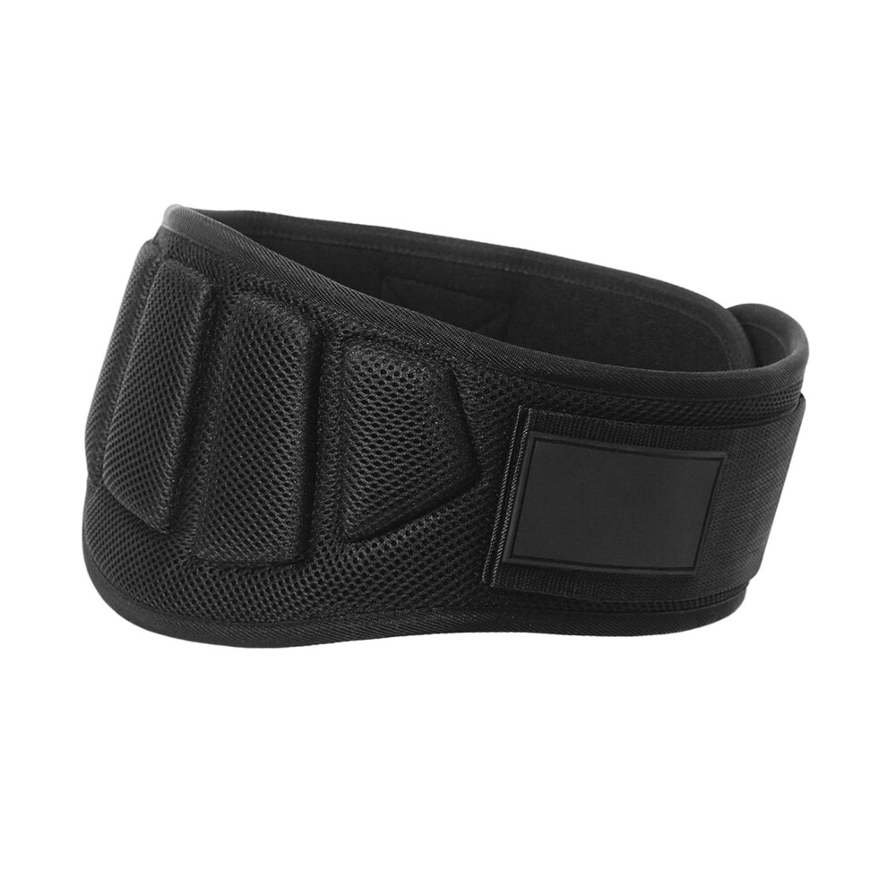 Back Support Belt Women EVA Durable Waist Brace for Exercise Workout L