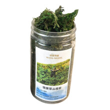 Cluster Grass Tufts Miniature Dioramas Miniature Static Grass Model fo