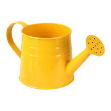 Watering Can Decorative Sprinkling Can for Outdoor Plants Vase Indoor