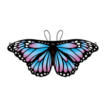 Kids Butterfly Wing Fancy Dress Dreamlike Princess Wing Costume Access