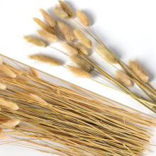 Bouquet di erba della pampa naturale mista, 60 pezzi di erba della pampa essiccata per matrimoni, fiori boho, decorazioni per la casa, decorazioni