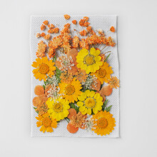 Kit com 35 flores secas prensadas para resina, velas, joias, unhas e scrapbooking – Folhas e ervas naturais com pinça.