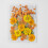 Dried Pressed Flowers Natural Leaves Herbs Kit 35pcs 1
