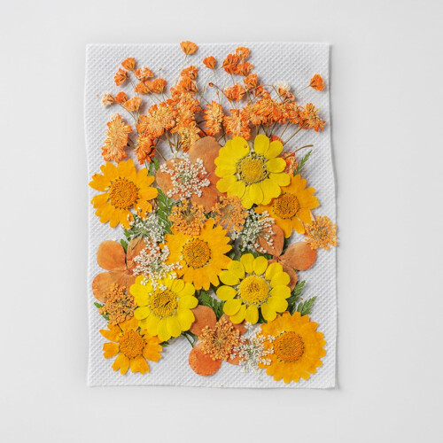 Dried Pressed Flowers Natural Leaves Herbs Kit 35pcs