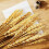 Dried Wheat Stalks Natural 100 Stems 45 cm 2