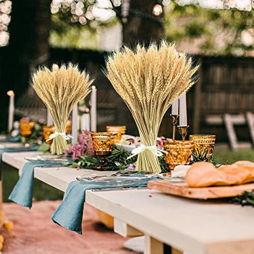 Dried Wheat Stalks Natural 100 Stems 45 cm 2
