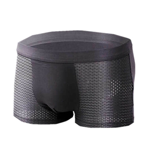 Mesh Underwear Men Ice Silk Breathable Mesh Boxer Briefs Thin Trunks Soft Underpants 2
