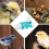 Distributeur automatique d'eau pour oiseaux 500 ml 2