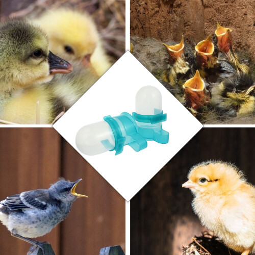 Distributeur automatique d'eau pour oiseaux 500 ml 1