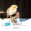 Distributeur automatique d'eau pour oiseaux 500 ml 3