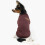 Pull polaire classique pour chiens de petite et moyenne taille 2