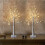 24-LED Lighted Birch Tree Decor, 2-Pack 2FT Mini White Xmas Trees, Battery/USB Powered, Indoor Table/Mantel Use 1