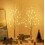 24-LED Lighted Birch Tree Decor, 2-Pack 2FT Mini White Xmas Trees, Battery/USB Powered, Indoor Table/Mantel Use 7