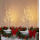 24-LED Lighted Birch Tree Decor, 2-Pack 2FT Mini White Xmas Trees, Battery/USB Powered, Indoor Table/Mantel Use 2