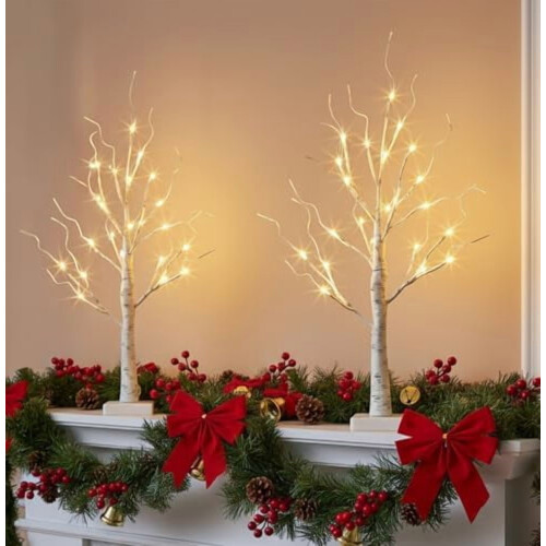 24-LED Lighted Birch Tree Decor, 2-Pack 2FT Mini White Xmas Trees, Battery/USB Powered, Indoor Table/Mantel Use 1