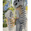 Dinosaur Plush Skeleton Hat29or45Inches 6