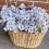 Purple Artificial Flowers UV-Resistant 10 Bundles 5