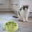 Comedouro lento para cães e gatos 4
