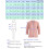 Dame Basic 3/4-ermet V-hals åpen front vaffelstrikket kort cardigan 3