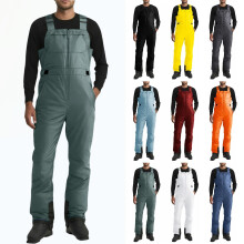 Salopette de ski imperméable, coupe-vent et isolante pour homme, pantalon de ski thermique pour le ski, le snowboard et les activités de plein air