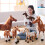 Cheval en peluche - 4 styles 3