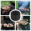 Roues de barbecue robustes de rechange (2 pièces) 2