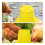 Yellow Plastic Chicken Feeder for Poultry Storage, -Term Use, 1 Piece 3