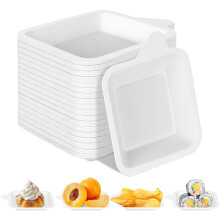 200 Pcs 4" Mini Paper Plates, Disposable Sugarcane Bagasse Dessert & Appetizer Plates, Compatible with Party, Snack & Cat Feeding