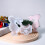 Easter3D Kanin Silikonform for Gips Harpiks Sjokolade 3