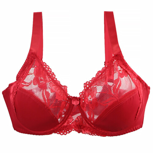 Γυναικείο Σουτιέν Full Cup Plus Size, Ολόσωμο, Χωρίς Ενίσχυση, Δαντελένιο, Mesh Bralette, Χωρίς