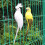 Green 25cm Realistic Parrot Simulation Toy 7