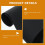Heat Resistant Placemat Black 2Pcs 8.3X5.9In 2
