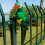 Green 25cm Realistic Parrot Simulation Toy 5