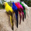 Green 25cm Realistic Parrot Simulation Toy 3