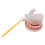 Life Size Human Mouth and Teeth Model Educational Kit 2