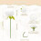 Artificial Peony Stems 10 Pack Realistic Silk Flowers 3