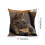 Ensemble de coussins à motif animal mignon 45x45cm 2
