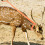 2 Pcs Deer Hunting Strap Portable Tree Stand Accessories Cart Nylon Cord Practical Hunter Accessory Pullers 3