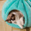 Pumpkin Cat Bed Cave for Small Cats and Dogs Grey Medium 5