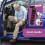 Car Door Handle Assist for Elderly – Mobility Aid, 3