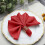 BalsaCircle 20 Pieces 17" Red Polyester Luncheon Napkins Wedding 5
